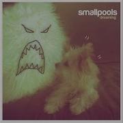 Smallpools Dreaming Official Audio