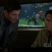 The French Mistake Jensen Ackles And Days Of Our Lives