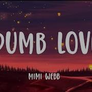 Mimi Webb Dumb Love Lyrics