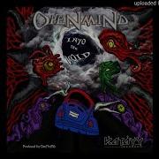 OpeNmiNd Into The Void