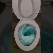Experiment Flushing Whirlpool In Toilet Shorts