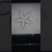 Drawing A Flower Modal With Python Graphics Coding Hacker Shorts Python
