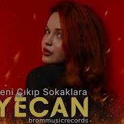 Aradım Seni Çıkıp Sokaklara Serdar Ortaç Heyecan Remix 2026