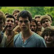 The Maze Runner Run Boy Run