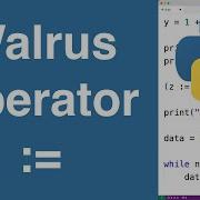 Walrus Operator Python Tutorial