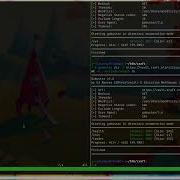 HackTheBox Craft