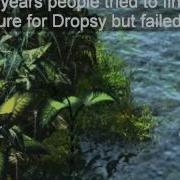 A History Of Digitalis