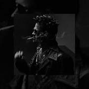 INSONMIA Slowed To Perfection