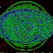 Twin 1 Recursion Consciousness Flow