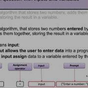Programming Techniques Variables Assignments Inputs