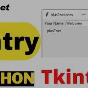 Tkinter Entry Widget With Options And Methods To Manage User Inputs Reading Setting Default Data