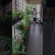 Growing Vegetables With Flowers On The Balcony Is Both Beautiful And Easy
