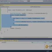 The DataTableReader Class