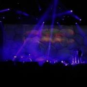 Дельфин Душа Arena Moscow 10 11 13