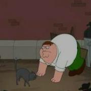 Family Guy Peter S Turf War With A Cat