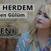 Xecê Herdem Neden Gülüm Akustik