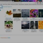 Featured Image Pro Even Grids