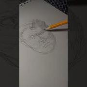 Does SpongeBobs Perfect Circle Technique Actually Work Art Spongebob Foryou Shorts