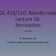 Bioinformatics Lecture 16 Genome Annotation