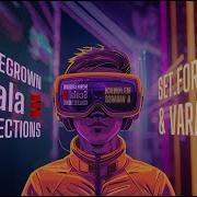 Homegrown Scala Collections Part 6 Set Foreach Varargs