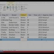 SQL Tutorial Of How To Use The Operator AND To Search For Records In Microsoft Access