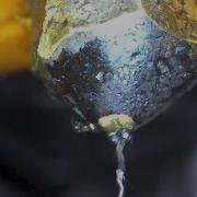 How To Unclog The Nozzle Of An FFF 3D Printer