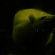Bodysnatcher King Of The Rats Official Music Video