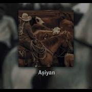 Afra Sefo Aşiyan Speed Up