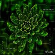 Wooden Vibration Original Mix