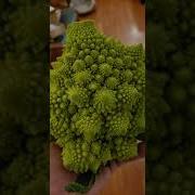 Deepest Fractal Zoom Ever