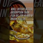 Krill Vs Other Seafood