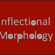 Inflectional Morphology