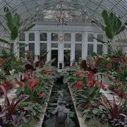 2025 Summer Flower Show Final Days