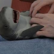 Surprised Baby Shark