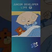 Junior Developer Life