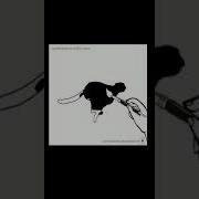 Run Cycle In Flash Flash Animation Cheetah Animation 2D Animation Adobe Premiere Running