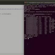 Shellcoding Basics