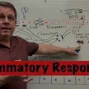 Inflammatory Response To Infection