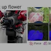 Robustly Grasping Deformable Objects With FingerVision