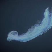 Cinema 4D 2 000 000 Thinking Particles