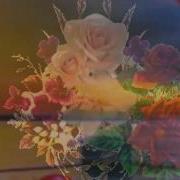 BZN La Primavera HD