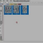 Microscope Camera Software Introduction Still Image Stitching