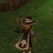 Satyr Avi