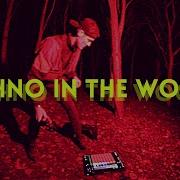 Techno In The Woods Ableton Push 2 Jydee