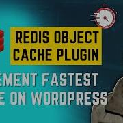 Lightning Fast Page Load With Redis Object Cache Plugin Part 2