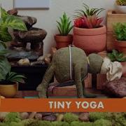 Tiny Chef Yoga Poses JUST BWEATHE