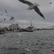 Duy Beni Hiraizerdüş Akustik