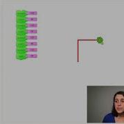 Turtle Art Skills 1 Introduction To TurtleArt