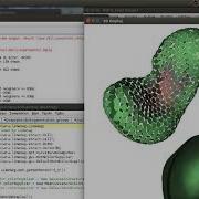 Tutorial LimeSeg 7 Computing Surface Curvature With LimeSeg ImageJ FIJI
