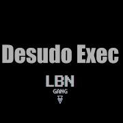 Desudo Executor FiveM LBN GANG